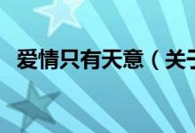 愛情只有天意（關(guān)于愛情只有天意的介紹）