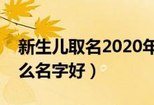 新生兒取名2020年好名字大全（新生兒叫什么名字好）