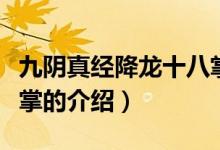 九陰真經(jīng)降龍十八掌（關(guān)于九陰真經(jīng)降龍十八掌的介紹）