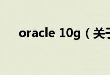 oracle 10g（關于oracle 10g的介紹）