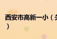 西安市高新一?。P(guān)于西安市高新一小的介紹）