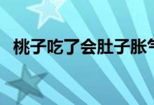 桃子吃了會(huì)肚子脹氣嗎（桃子吃了上火嗎）