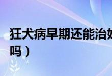 狂犬病早期還能治好嗎（狂犬病的早期能治愈嗎）