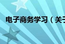 電子商務(wù)學(xué)習(xí)（關(guān)于電子商務(wù)學(xué)習(xí)的介紹）