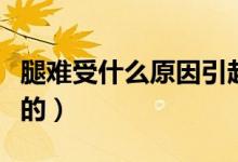 腿難受什么原因引起的（腿難受什么原因引起的）