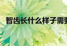 智齒長(zhǎng)什么樣子需要拔（智齒長(zhǎng)什么樣子）