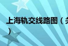 上海軌交線路圖（關(guān)于上海軌交線路圖的介紹）