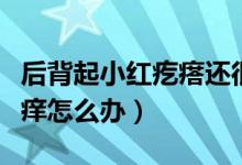后背起小紅疙瘩還很癢（后背起小紅疙瘩還很癢怎么辦）