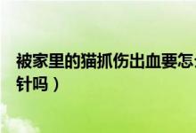 被家里的貓抓傷出血要怎么處理（被家里的貓抓傷出血要打針嗎）