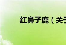 紅鼻子鹿（關于紅鼻子鹿的介紹）
