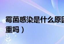 霉菌感染是什么原因引起的男性（霉菌感染嚴(yán)重嗎）