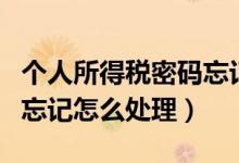 個(gè)人所得稅密碼忘記怎么辦（個(gè)人所得稅密碼忘記怎么處理）