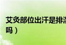 艾灸部位出汗是排濕嗎（艾灸部位出汗是排濕嗎）