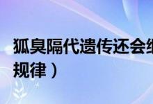 狐臭隔代遺傳還會繼續(xù)遺傳嗎（狐臭隔代遺傳規(guī)律）