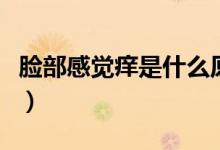 臉部感覺癢是什么原因（臉部癢癢是怎么回事）