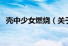 殼中少女燃燒（關(guān)于殼中少女燃燒的介紹）