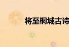 將至桐城古詩(shī)全文（將至桐城）