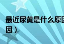 最近尿黃是什么原因引起的（尿尿黃是什么原因）