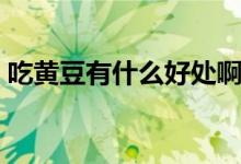 吃黃豆有什么好處?。ǔ粤它S豆有什么好處）