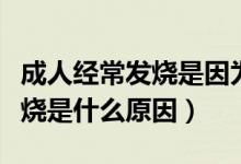 成人經(jīng)常發(fā)燒是因?yàn)槭裁丛蚰兀ǔ扇私?jīng)常發(fā)燒是什么原因）
