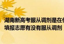 湖南新高考服從調(diào)劑是在什么范圍內(nèi)調(diào)劑（2022湖南新高考填報(bào)志愿有沒有服從調(diào)劑）