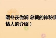暖冬夜微瀾 總裁的神秘情人（關(guān)于暖冬夜微瀾 總裁的神秘情人的介紹）