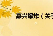 嘉興爆炸（關(guān)于嘉興爆炸的介紹）