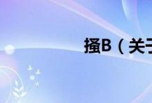 搔B（關(guān)于搔B的介紹）