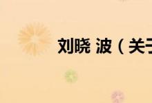 劉曉 波（關于劉曉 波的介紹）