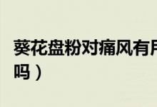 葵花盤(pán)粉對(duì)痛風(fēng)有用嗎（葵花盤(pán)粉對(duì)痛風(fēng)有效嗎）