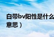 白帶bv陽(yáng)性是什么意思（白帶bv陽(yáng)性是什么意思）