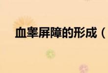 血睪屏障的形成（血睪屏障是什么意思）