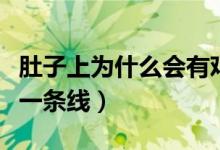 肚子上為什么會(huì)有雞皮膚（肚子上為什么會(huì)有一條線）