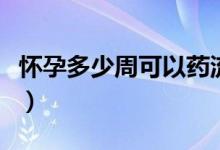 懷孕多少周可以藥流（懷孕多少周可以做四維）