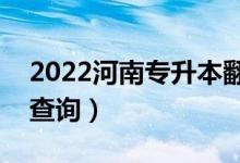 2022河南專升本翻譯一分一段表（成績(jī)排名查詢）