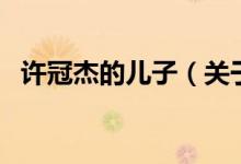 許冠杰的兒子（關(guān)于許冠杰的兒子的介紹）