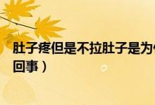 肚子疼但是不拉肚子是為什么（肚子疼但是不拉肚子是怎么回事）