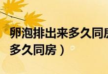 卵泡排出來多久同房合適懷孕（優(yōu)勢卵泡排出多久同房）