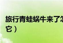 旅行青蛙蝸牛來了怎么辦（我們可以這樣招待它）