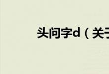 頭問(wèn)字d（關(guān)于頭問(wèn)字d的介紹）