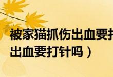 被家貓抓傷出血要打破傷風(fēng)針嗎（被家貓抓傷出血要打針嗎）