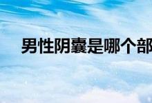 男性陰囊是哪個部位（陰囊是什么位置）