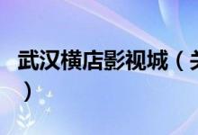 武漢橫店影視城（關(guān)于武漢橫店影視城的介紹）