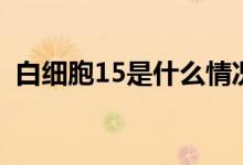 白細胞15是什么情況（白細胞15是很高嗎）