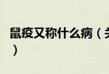 鼠疫又稱什么?。P于鼠疫又稱什么病的介紹）