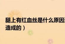 腿上有紅血絲是什么原因造成的（腿上有紅血絲是什么原因造成的）