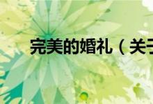 完美的婚禮（關(guān)于完美的婚禮的介紹）