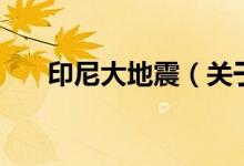 印尼大地震（關(guān)于印尼大地震的介紹）