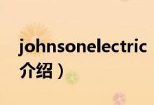 johnsonelectric（關(guān)于johnsonelectric的介紹）