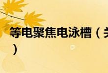等電聚焦電泳槽（關(guān)于等電聚焦電泳槽的介紹）